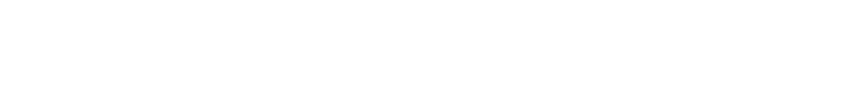 bw西汉姆联